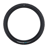 Schwalbe Pneu Romy 29x2.50 Gravity Pro Soft TL-Ready black Radial