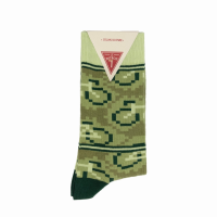 Le Patron Bicycle Moderno Socks green