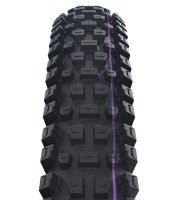 Schwalbe Pneu Albert 29x2.60 Gravity Pro UltraSoft TL-Ready black Radial