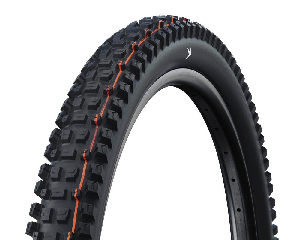 Schwalbe Pneu Albert 29x2.60 Gravity Pro Soft TL-Ready black Radial