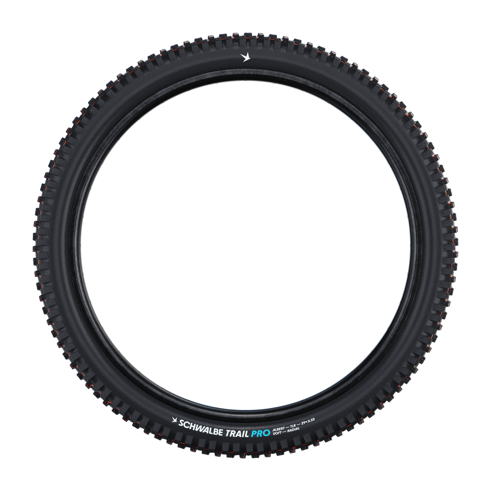 Schwalbe Pneu Albert 29x2.60 Gravity Pro Soft TL-Ready black Radial