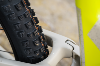 Schwalbe Pneu Albert 29x2.60 Gravity Pro Soft TL-Ready black Radial