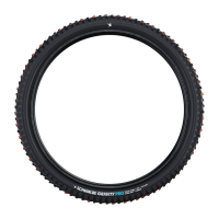 Schwalbe Pneu Tacky Chan 29x2.50 Trail Pro UltraSoft TL-Ready black Radial