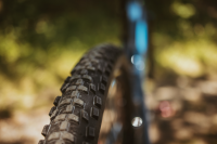 Schwalbe Pneu Smart Sam 29x2.25 Starr para