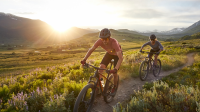 BONTRAGER Sattel Verse Elite 145 mm Black