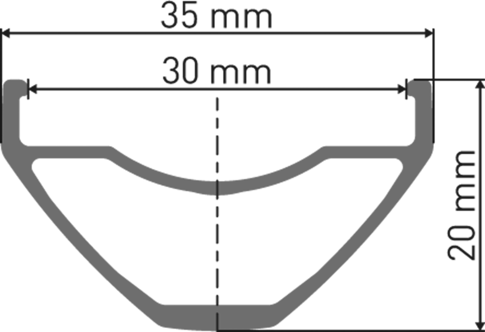 DT Swiss M 1900 SPLINE Laufrad 29" CL 30 110/15mm