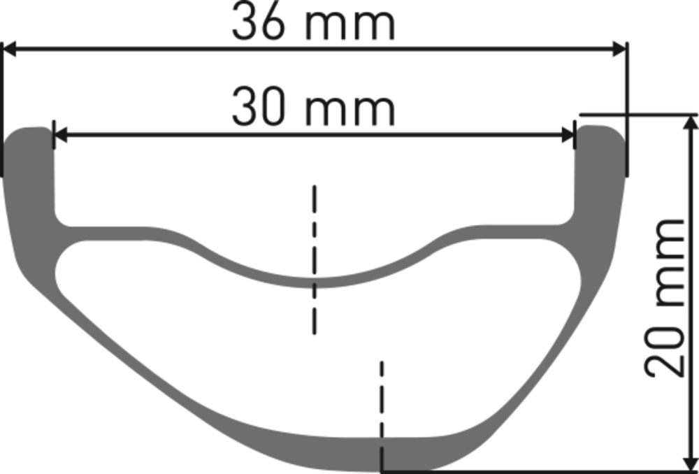 DT Swiss XMC 1200 SPLINE Laufrad 29" IS 30 110/15mm
