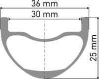 DT Swiss HXC 1501 SPLINE Laufrad 29" IS 30 110/15mm