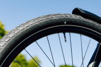 Schwalbe Pneu Motion Big Apple 28x2.35 Addix Green starr mit Reflexstreifen black