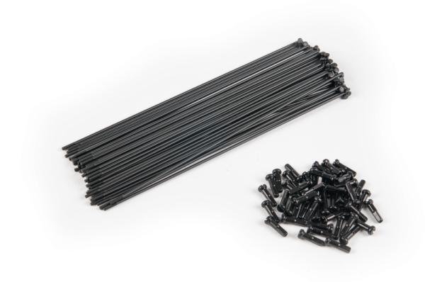 ÉCLAT PG 186mm spokes incl. black nipp 40pcs