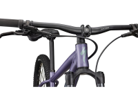 Specialized Rockhopper Comp