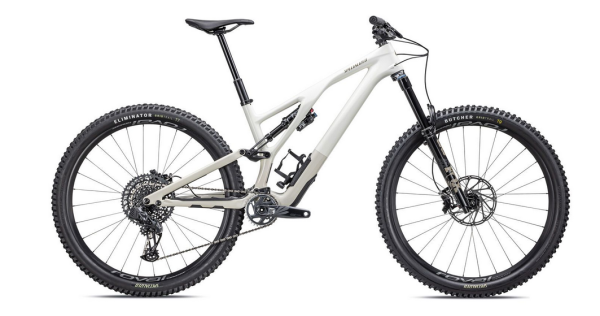 Specialized SJ Stumpjumper EVO EXPERT BRCH/TPE S3