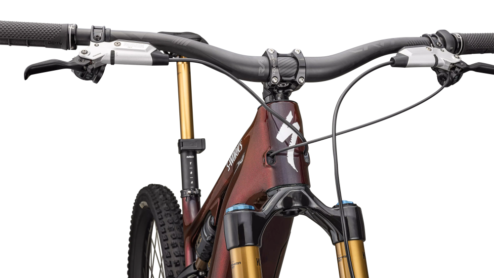 Specialized S-Works Turbo Levo 4 S3