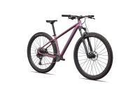 Specialized Rockhopper Expert