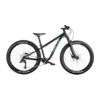 NALOO Hill Bill 24", Mk3, 9-Speed, Black