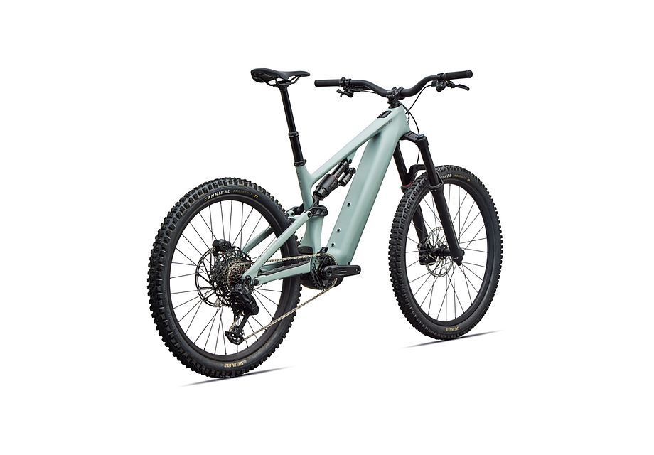 Specialized Levo 4 EVO Comp S4