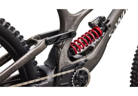 Specialized S-Works Demo 11